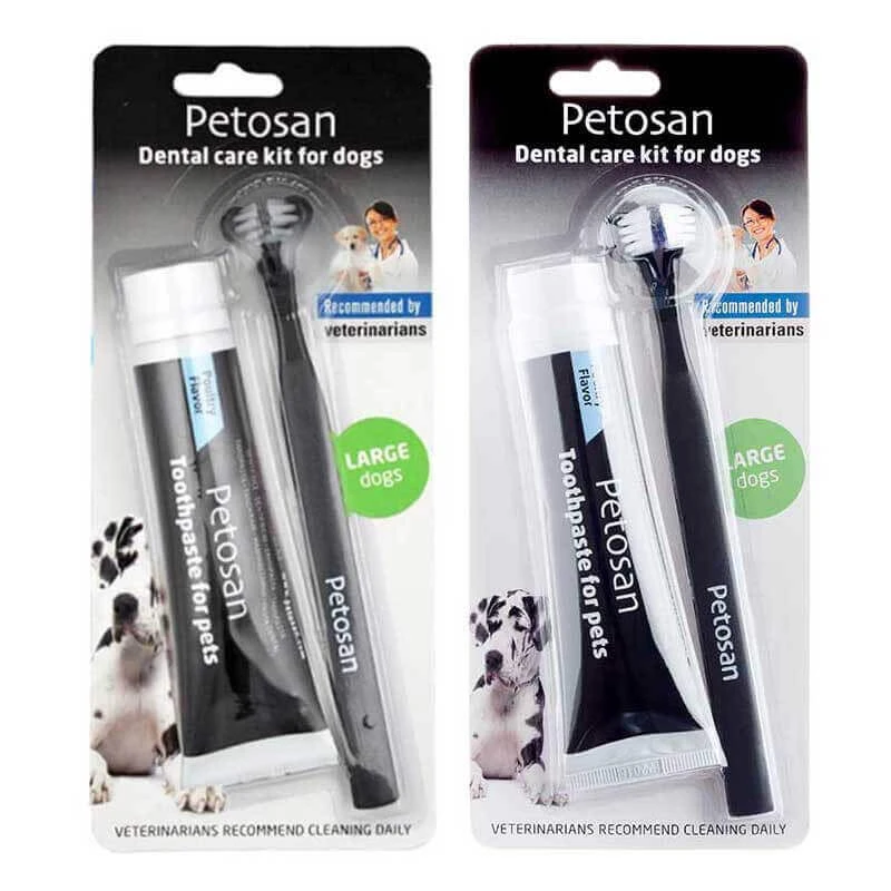 DENTAL KIT (TOOTHPASTE & TOOTHBRUSH) (LARGE) 3 DENTAL KIT (TOOTHPASTE & TOOTHBRUSH) (LARGE)