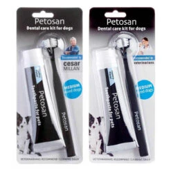 DENTAL KIT (TOOTHPASTE & TOOTHBRUSH) (MEDIUM)