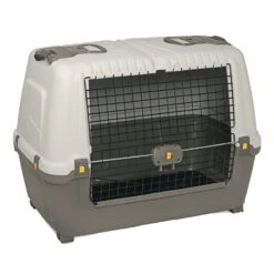 SKUDO CAR 100 (ASSORTED)