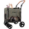 GENTLE GIANT PET WAGON (GREEN) -Dog Supplies Sale Store 90232