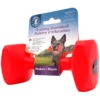 Company Of Animals TRAINING DUMBBELL (MEDIUM) -Dog Supplies Sale Store 92661
