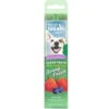 Tropiclean CLEAN TEETH GEL DOG BERRY FRESH 2oz 2 Tropiclean CLEAN TEETH GEL DOG BERRY FRESH 2oz -Dog Supplies Sale Store 94594