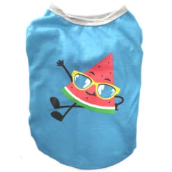 T-SHIRT-RELAXING WATERMELON (BLUE) (LARGE)