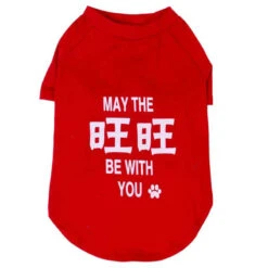 T-SHIRT-WANGWANG BE WITH YOU (RED) (LARGE)