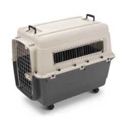 Savic ANDES 5 CARRIER IATA (IVORY/GREY)