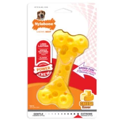Nylabone HARD BONE 5 INCH
