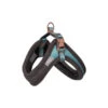 ROGZ URBAN HARNESS (TURQUOISE) (EXTRA-SMALL) -Dog Supplies Sale Store 97911