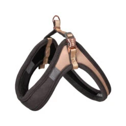 ROGZ URBAN HARNESS (GOLD) (SMALL)