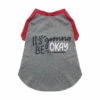 T-SHIRT-ITS GONNA BE OK (GREY) (LARGE) 2 T-SHIRT-ITS GONNA BE OK (GREY) (LARGE) -Dog Supplies Sale Store 98319