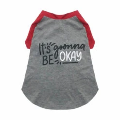 T-SHIRT-ITS GONNA BE OK (GREY) (LARGE)