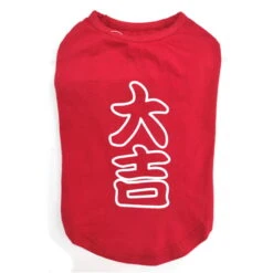 T-SHIRT-GOOD FORTUNE (RED) (LARGE)