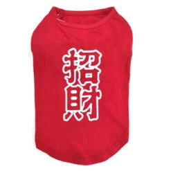 T-SHIRT-USHER WEALTH (RED) (LARGE)